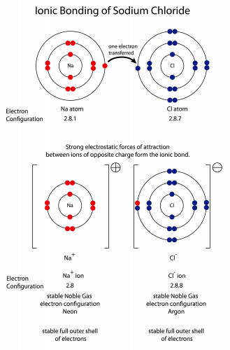 Drawing Covalent And Ionic Bonds Worksheet